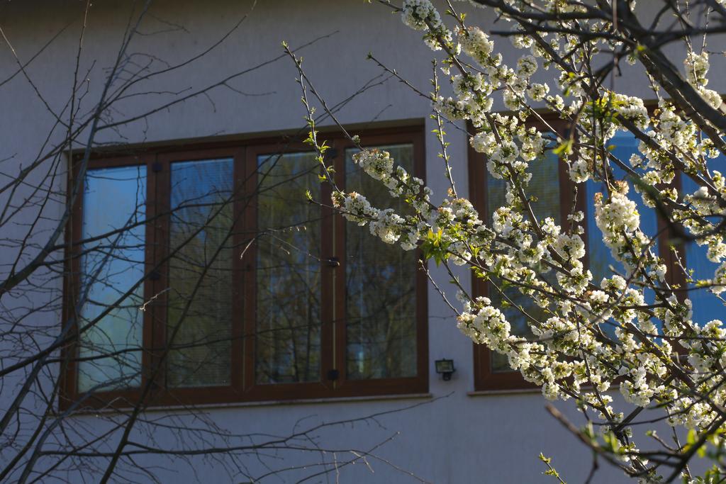 Farah Superior Apartments Bihać Exterior foto
